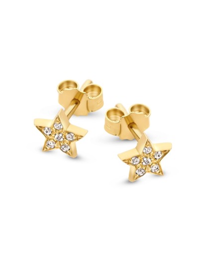 Treasure Star Diamond Earring