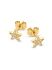 Treasure Star Diamond Earring