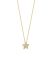 Treasure Star Diamond Necklace