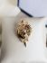 Vintage geelgouden fantasie broche